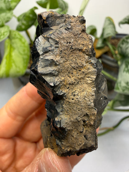 Goethite- Bilbao, Biscay, Basque Country, Spain