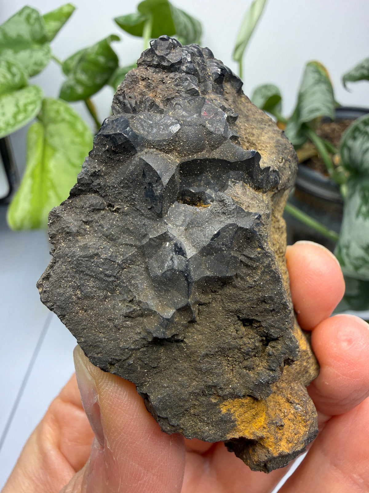 Goethite- Bilbao, Biscay, Basque Country, Spain