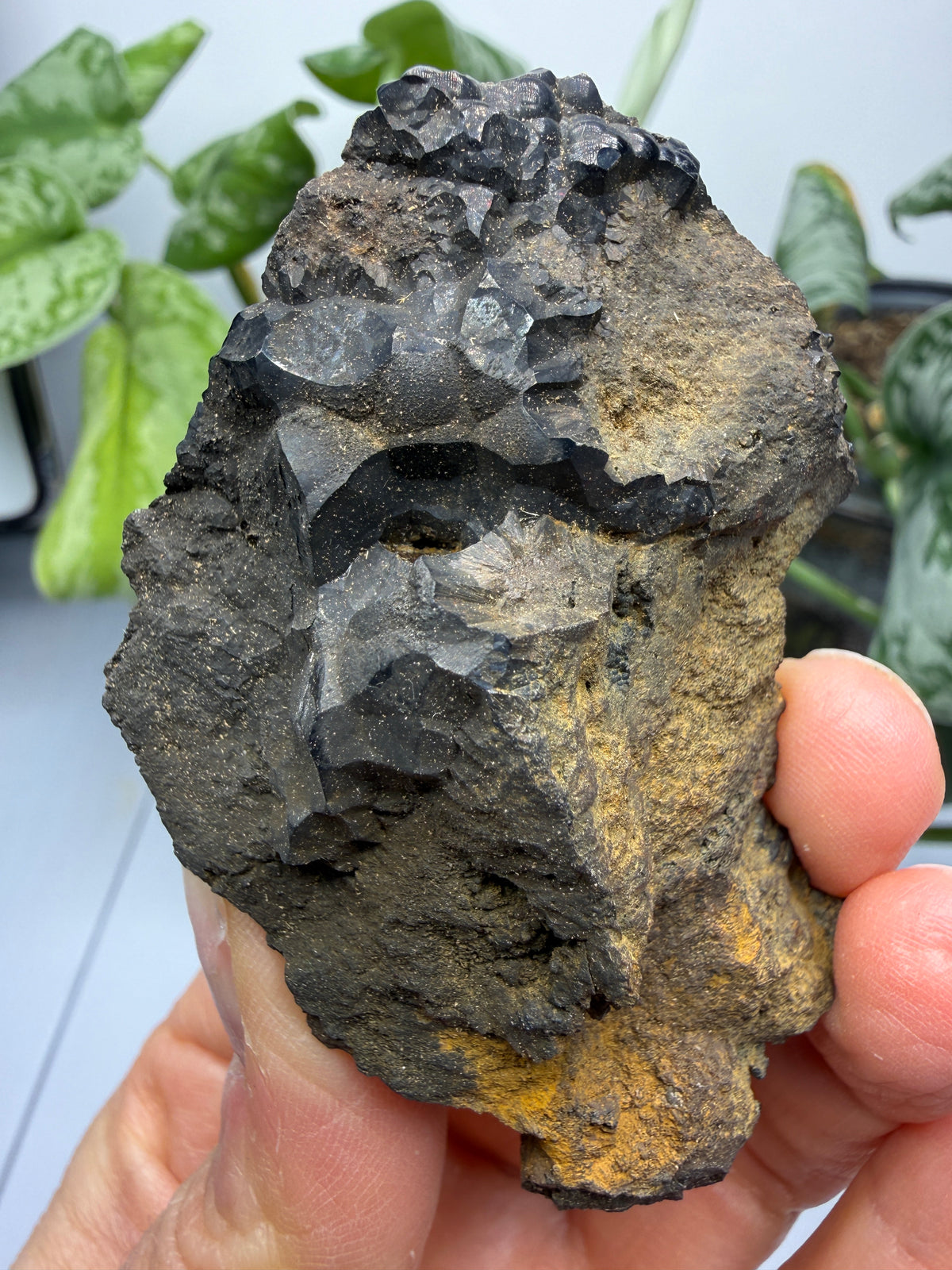 Goethite- Bilbao, Biscay, Basque Country, Spain