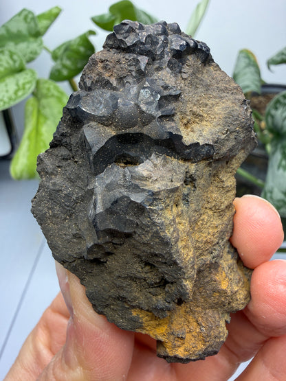 Goethite- Bilbao, Biscay, Basque Country, Spain
