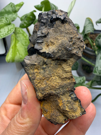 Goethite- Bilbao, Biscay, Basque Country, Spain