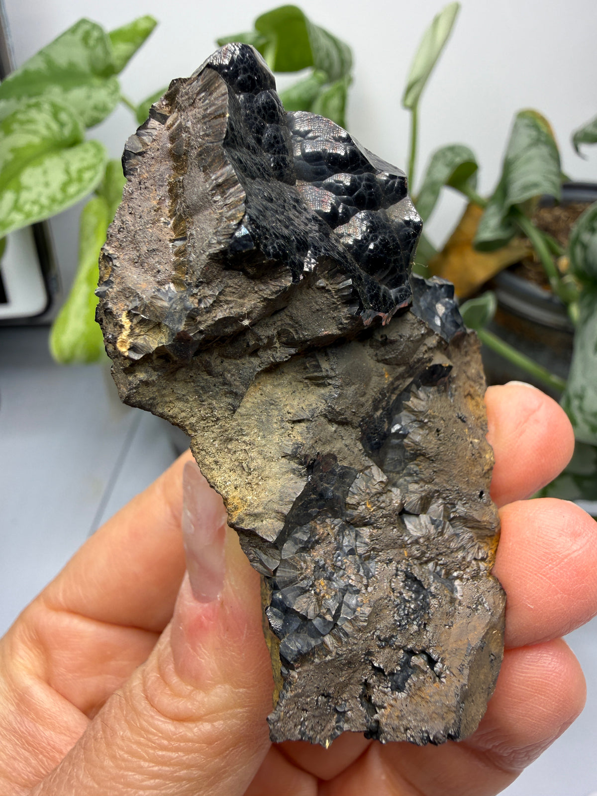 Goethite- Bilbao, Biscay, Basque Country, Spain