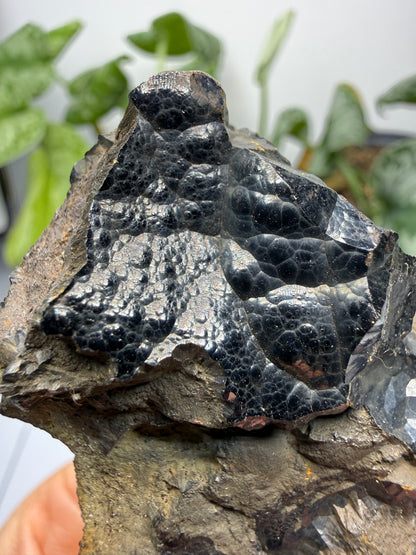 Goethite- Bilbao, Biscay, Basque Country, Spain