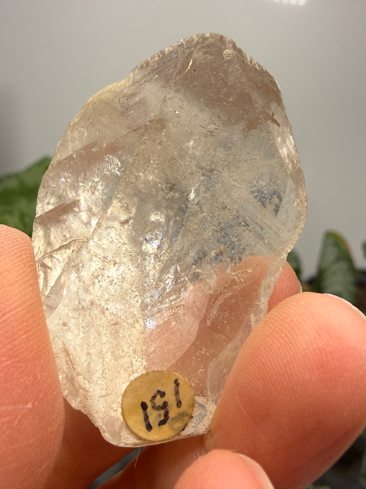Optical Calcite (Iceland Spar)- California, USA