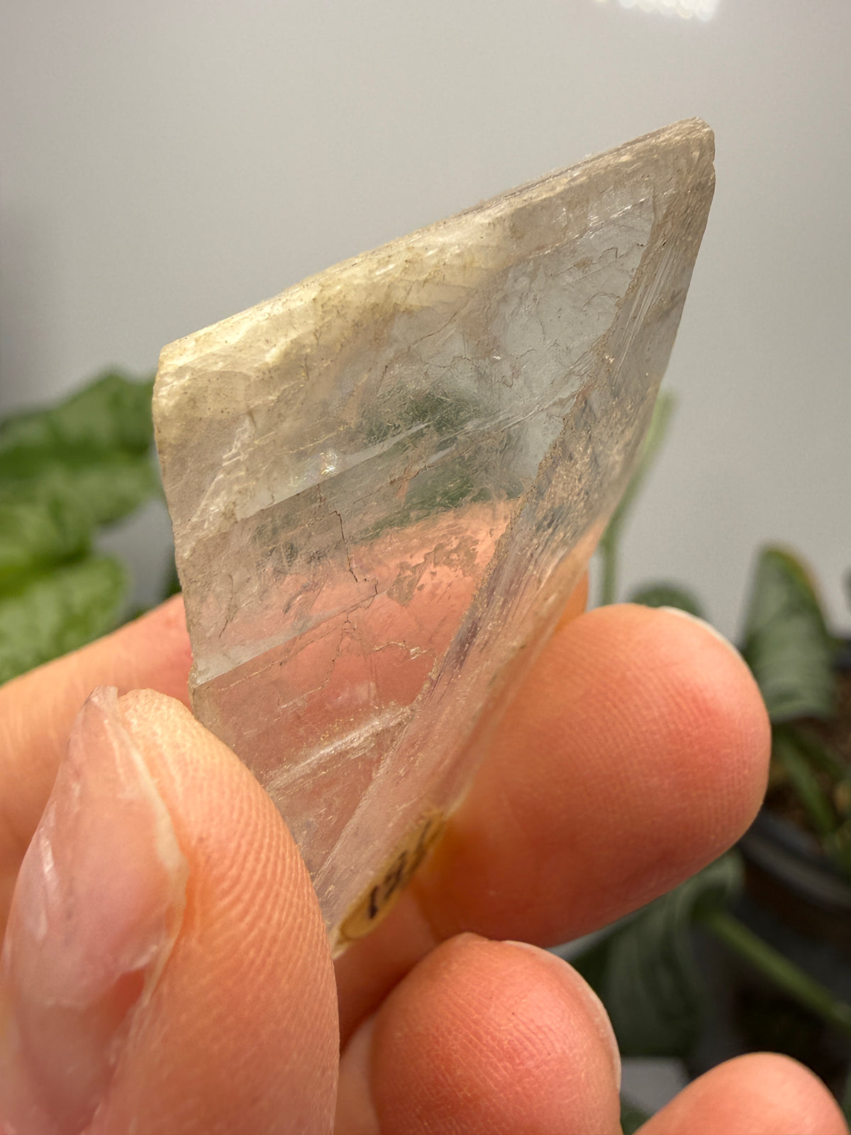 Optical Calcite (Iceland Spar)- California, USA