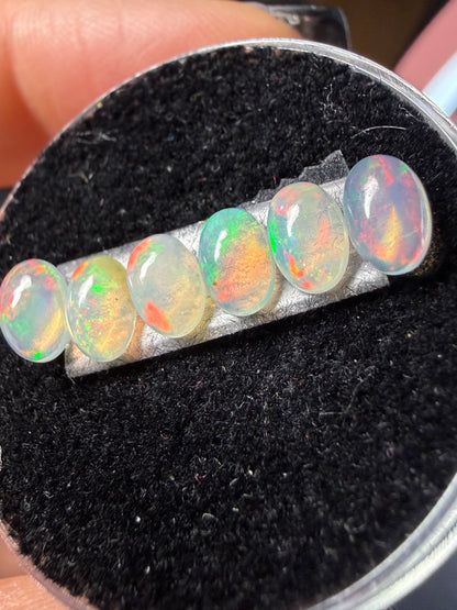Matched Natural Welo Opal Cabochon Set (6)- 6x4x3mm, 2.05ct total- Broadflash, reds
