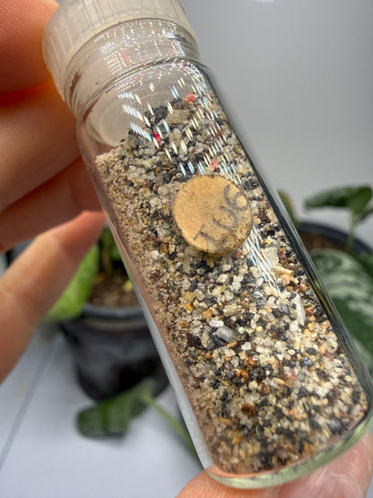 Gold-Bearing (unverified) Black Sand- Gaffney, Cherokee County, South Carolina, USA