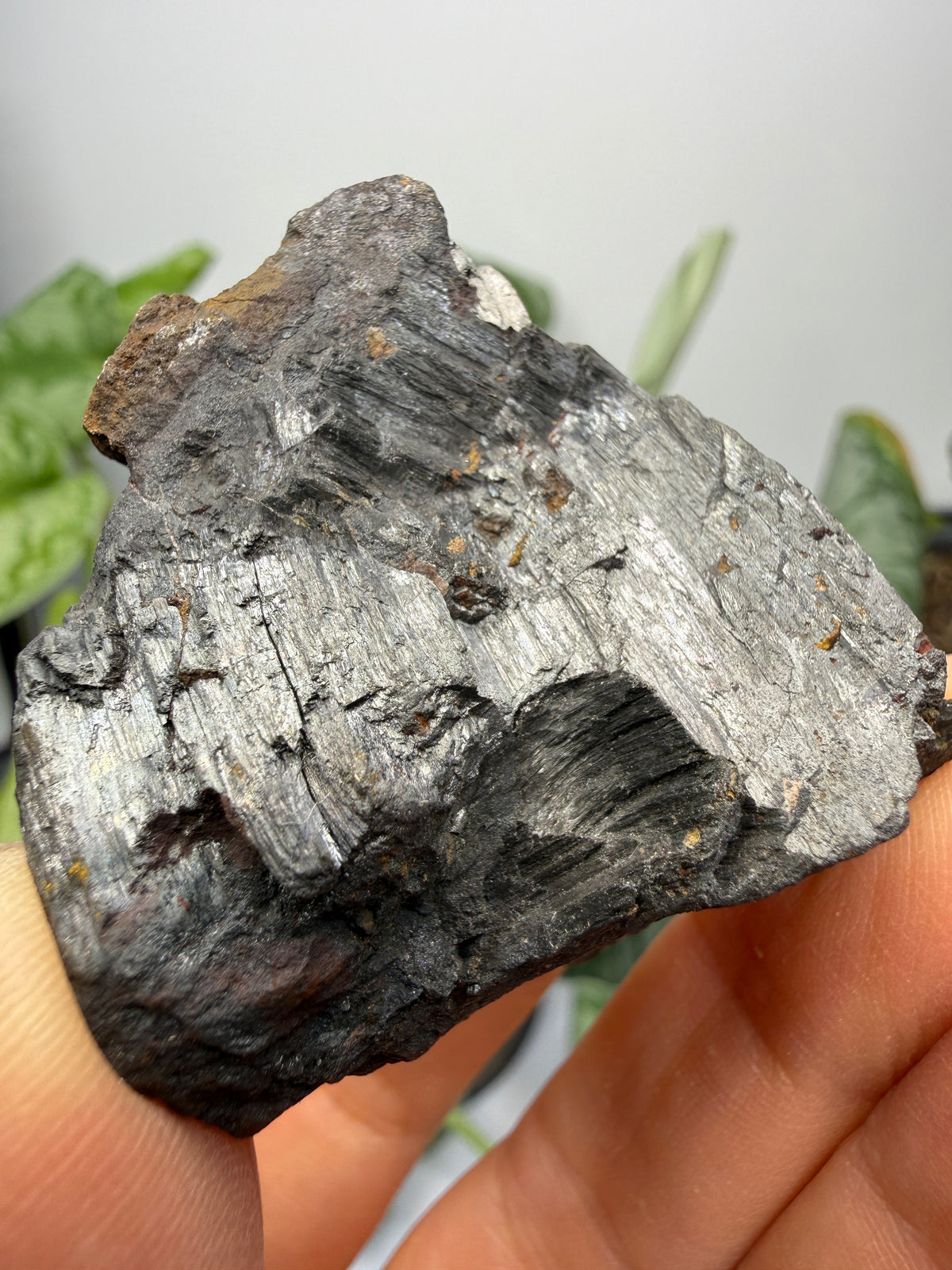 Manganite- Lake Valley Mining District, Sierra County, New Mexico, USA