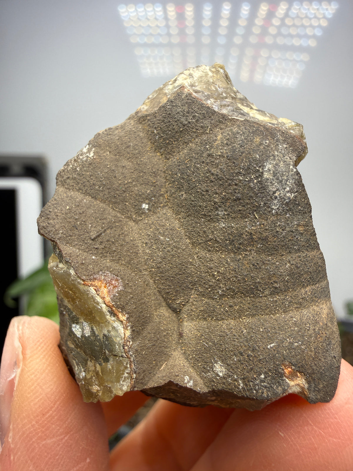 Smithsonite- Mapimí, Durango, Mexico