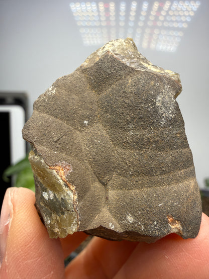 Smithsonite- Mapimí, Durango, Mexico
