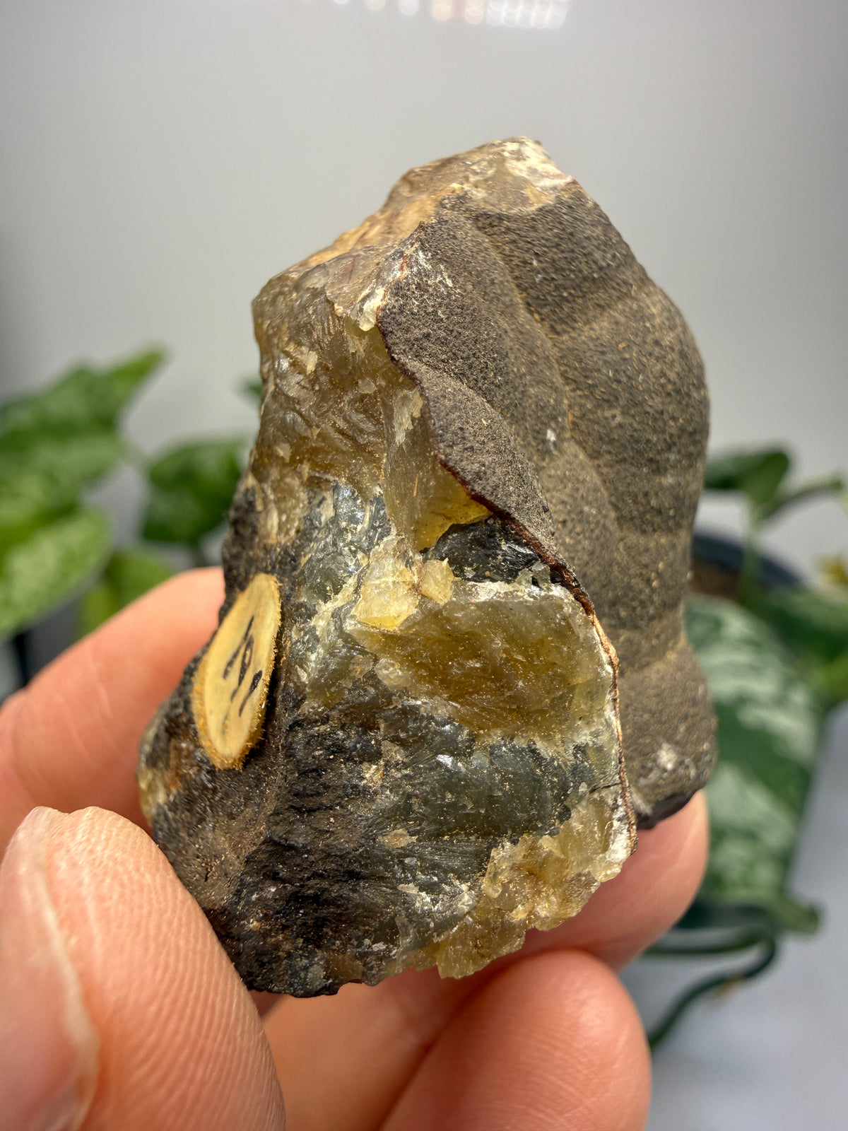 Smithsonite- Mapimí, Durango, Mexico