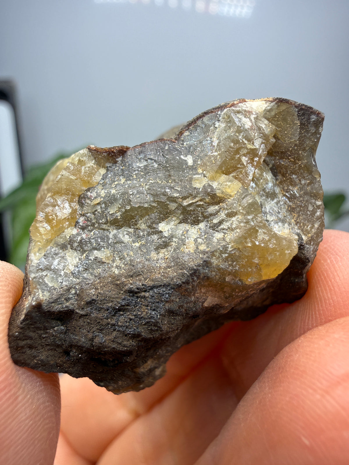 Smithsonite- Mapimí, Durango, Mexico