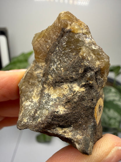 Smithsonite- Mapimí, Durango, Mexico