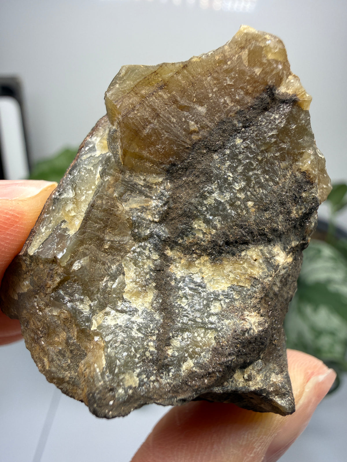 Smithsonite- Mapimí, Durango, Mexico