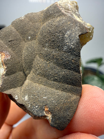 Smithsonite- Mapimí, Durango, Mexico