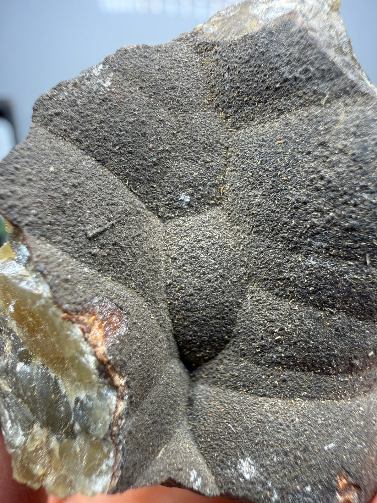 Smithsonite- Mapimí, Durango, Mexico