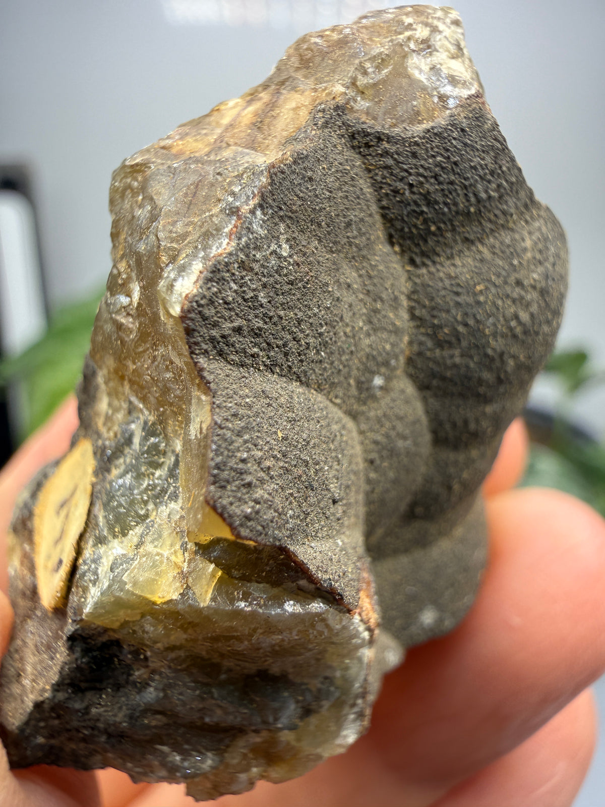 Smithsonite- Mapimí, Durango, Mexico