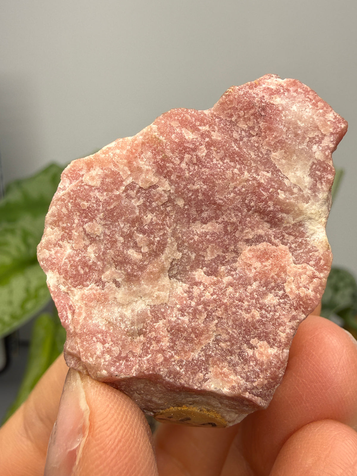 Rhodocrosite (Massive)- Alma, Park County, Colorado, USA