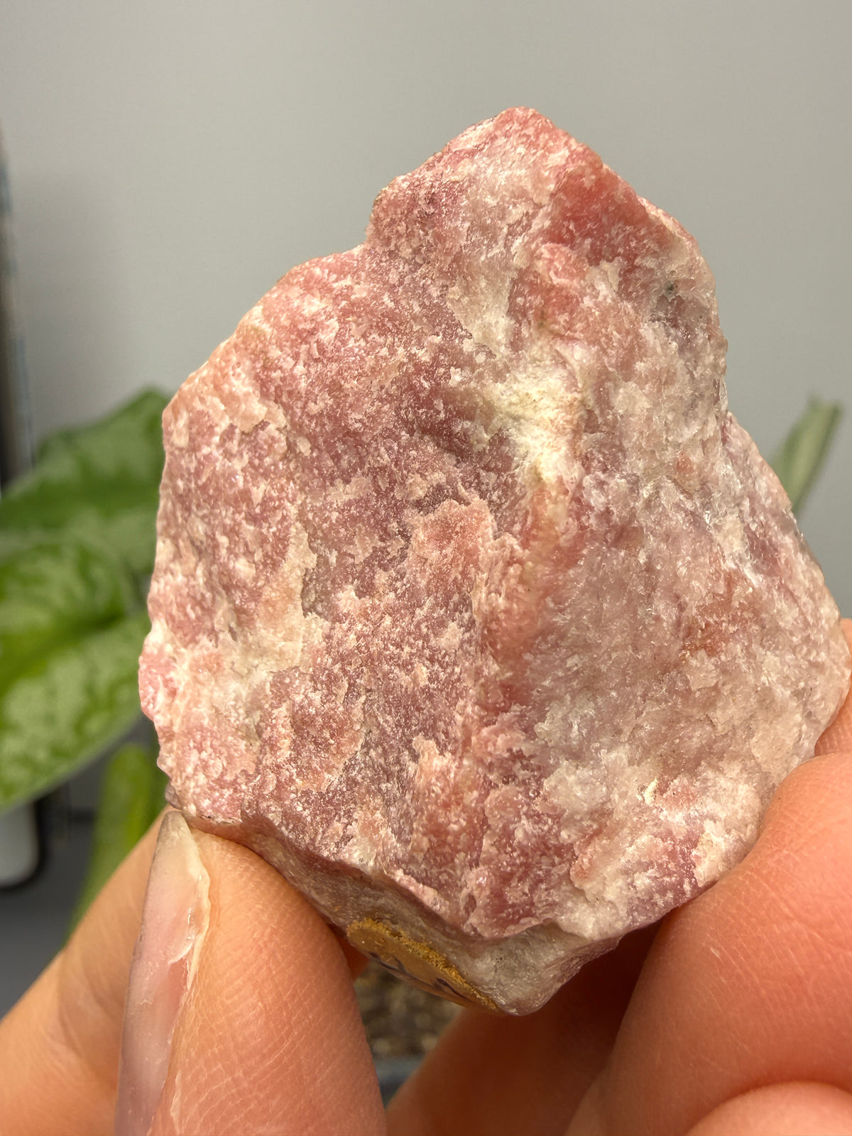 Rhodocrosite (Massive)- Alma, Park County, Colorado, USA
