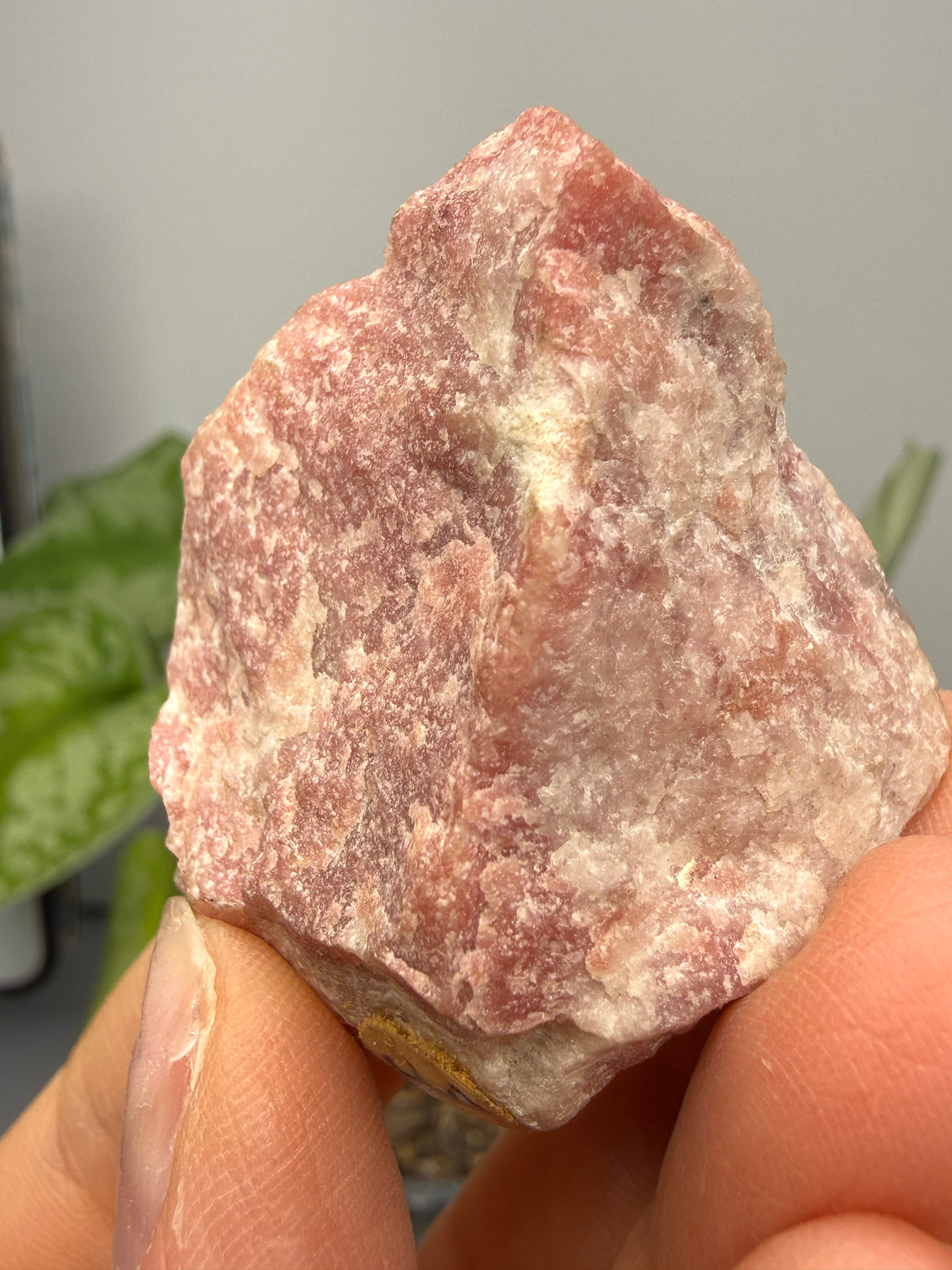 Rhodocrosite (Massive)- Alma, Park County, Colorado, USA