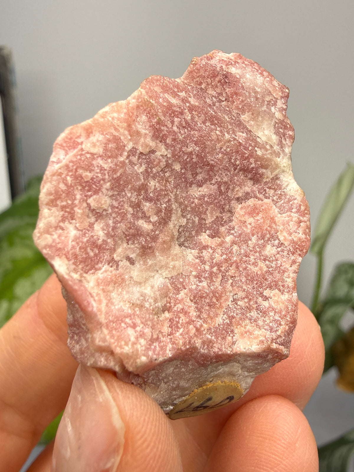Rhodocrosite (Massive)- Alma, Park County, Colorado, USA