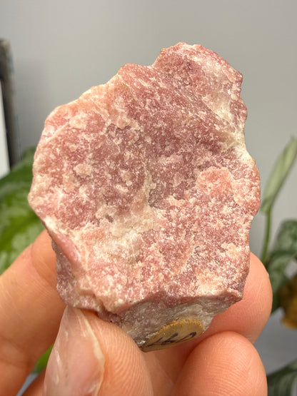 Rhodocrosite (Massive)- Alma, Park County, Colorado, USA
