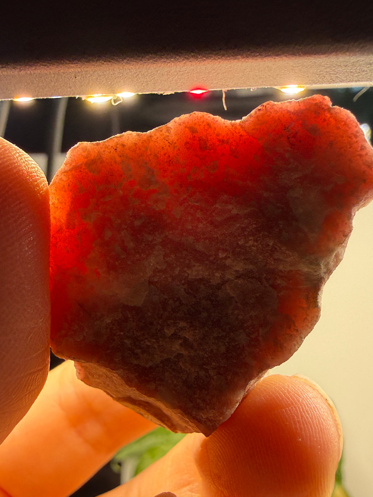 Rhodocrosite (Massive)- Alma, Park County, Colorado, USA