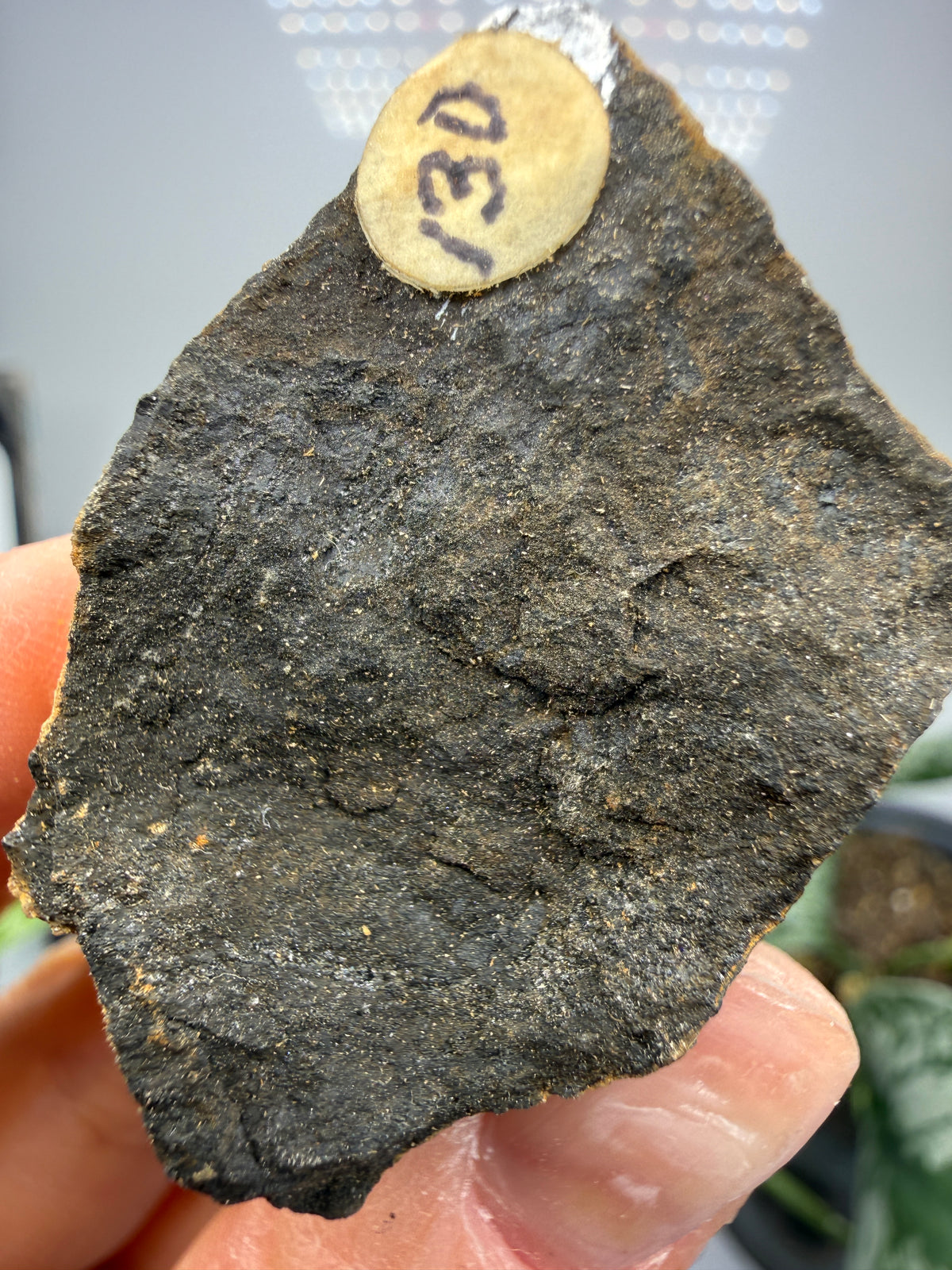 Magnetite (Massive)- Gaffney, Cherokee County, South Carolina, USA