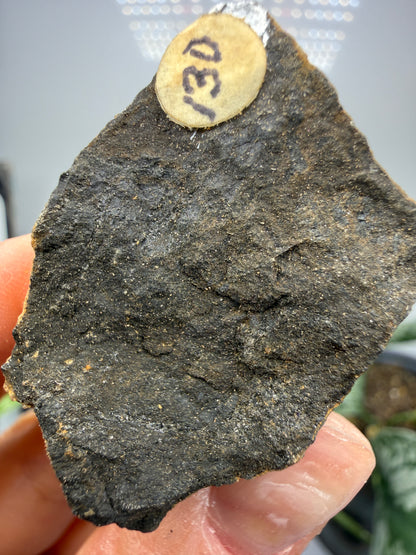 Magnetite (Massive)- Gaffney, Cherokee County, South Carolina, USA