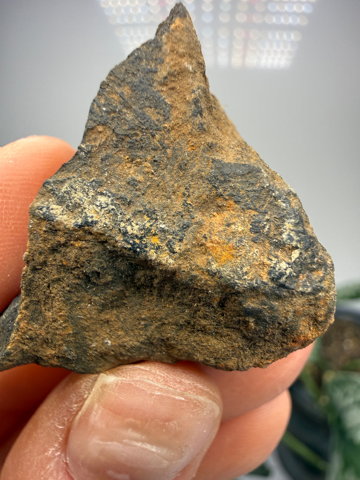 Magnetite (Massive)- Gaffney, Cherokee County, South Carolina, USA