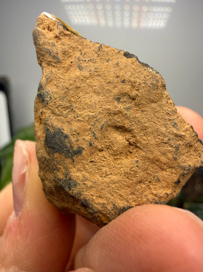 Magnetite (Massive)- Gaffney, Cherokee County, South Carolina, USA