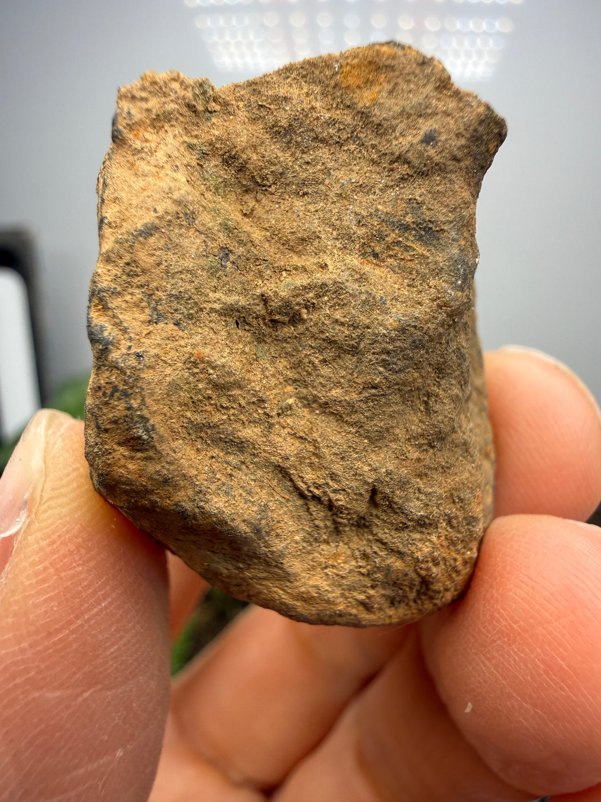 Magnetite (Massive)- Gaffney, Cherokee County, South Carolina, USA