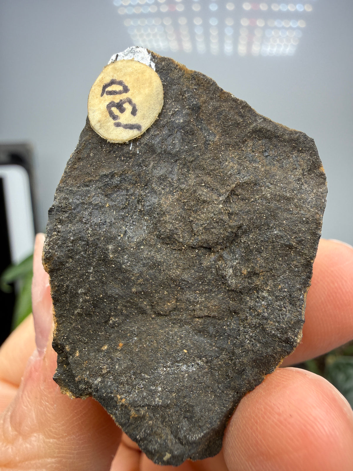 Magnetite (Massive)- Gaffney, Cherokee County, South Carolina, USA