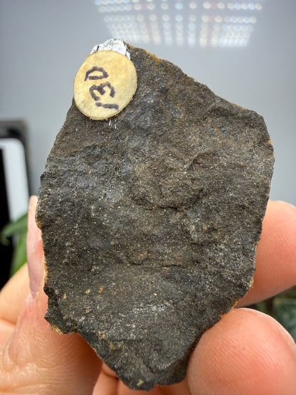 Magnetite (Massive)- Gaffney, Cherokee County, South Carolina, USA