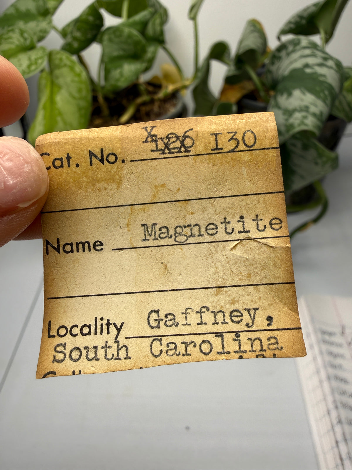Magnetite (Massive)- Gaffney, Cherokee County, South Carolina, USA