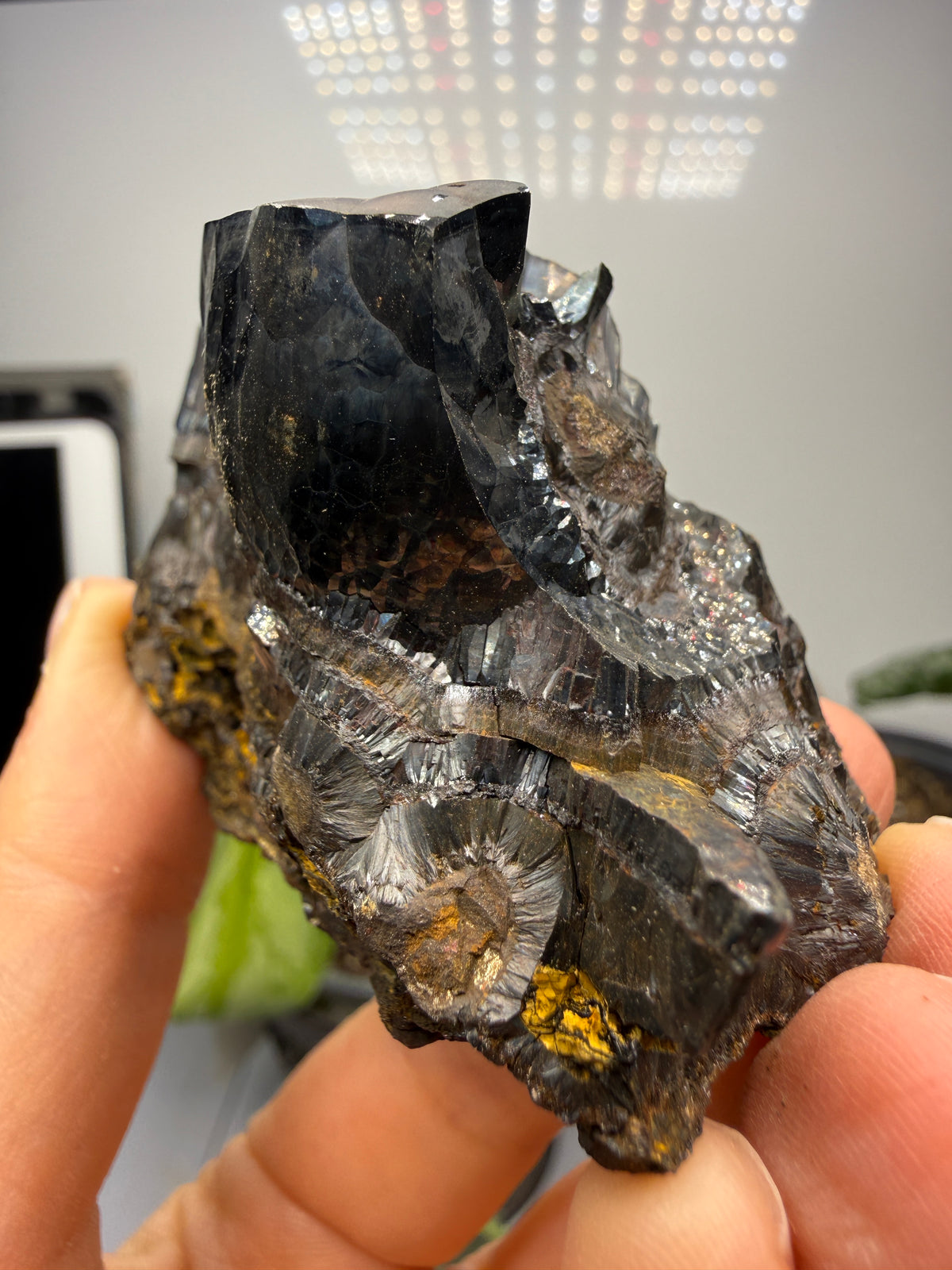 Goethite- Michigan, USA