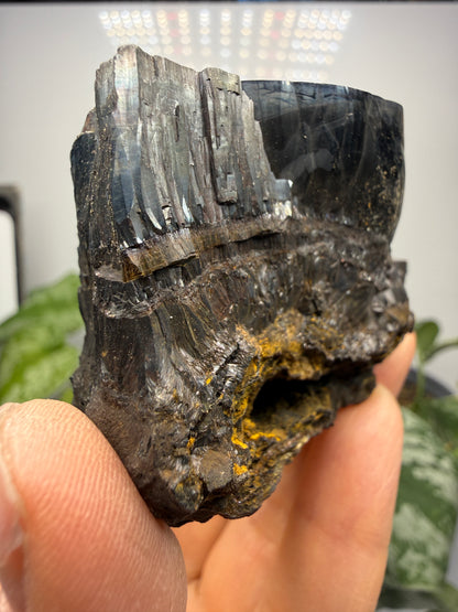Goethite- Michigan, USA