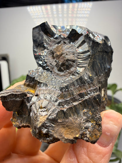 Goethite- Michigan, USA