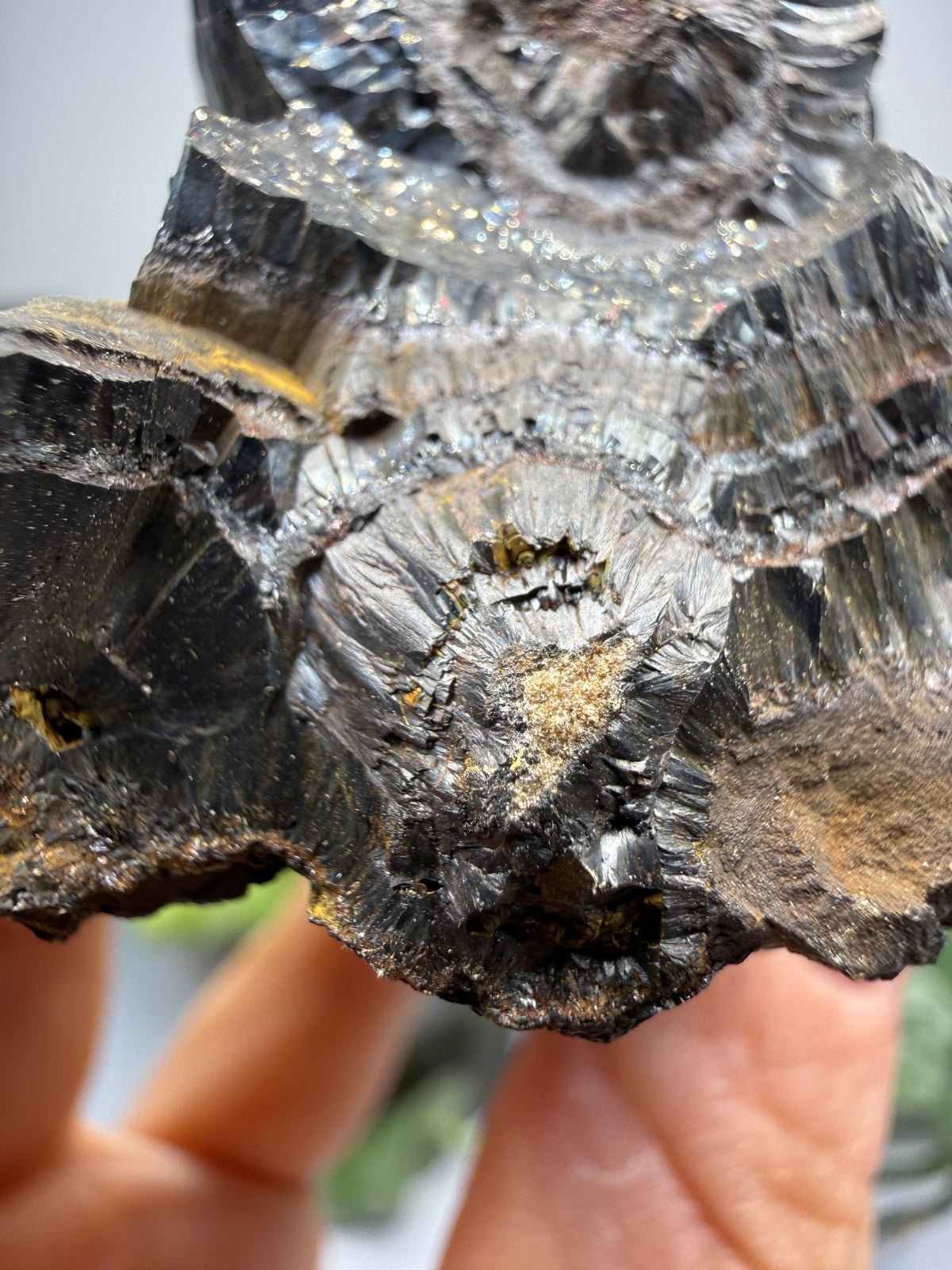 Goethite- Michigan, USA