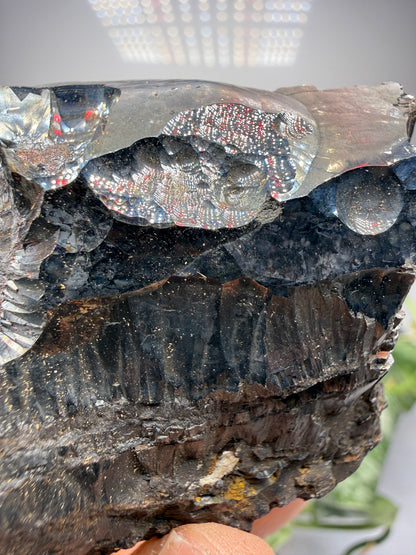 Goethite- Michigan, USA
