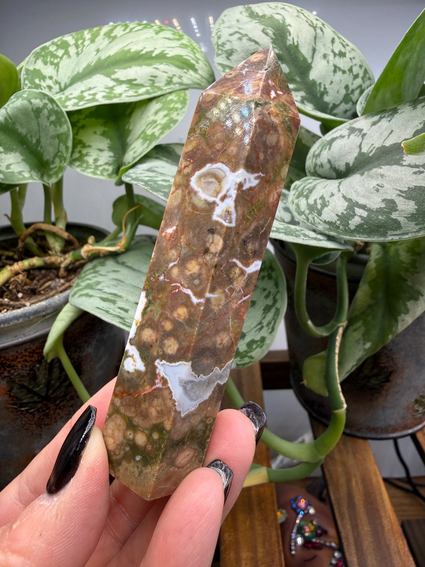 Ocean Jasper® Tower- Analalava District, Sofia Region, Madagascar