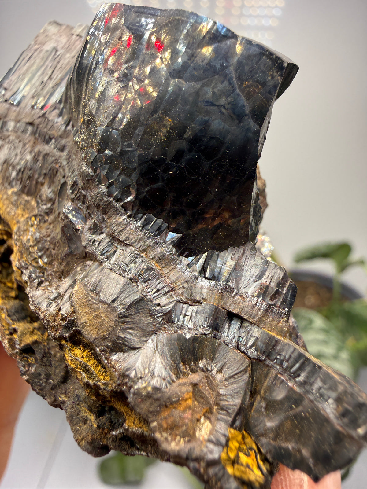 Goethite- Michigan, USA