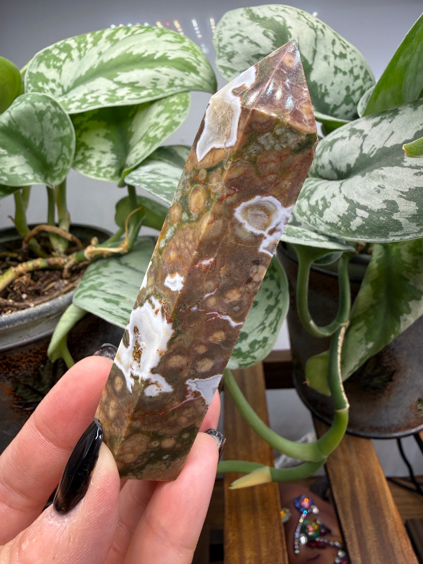 Ocean Jasper® Tower- Analalava District, Sofia Region, Madagascar