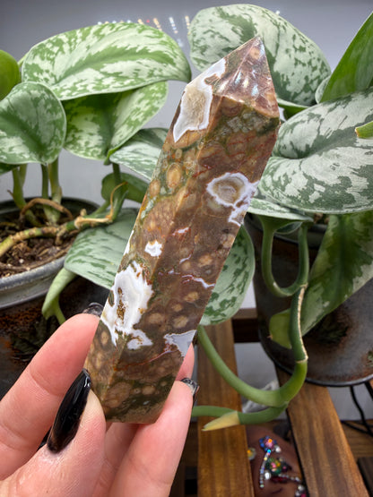 Ocean Jasper® Tower- Analalava District, Sofia Region, Madagascar