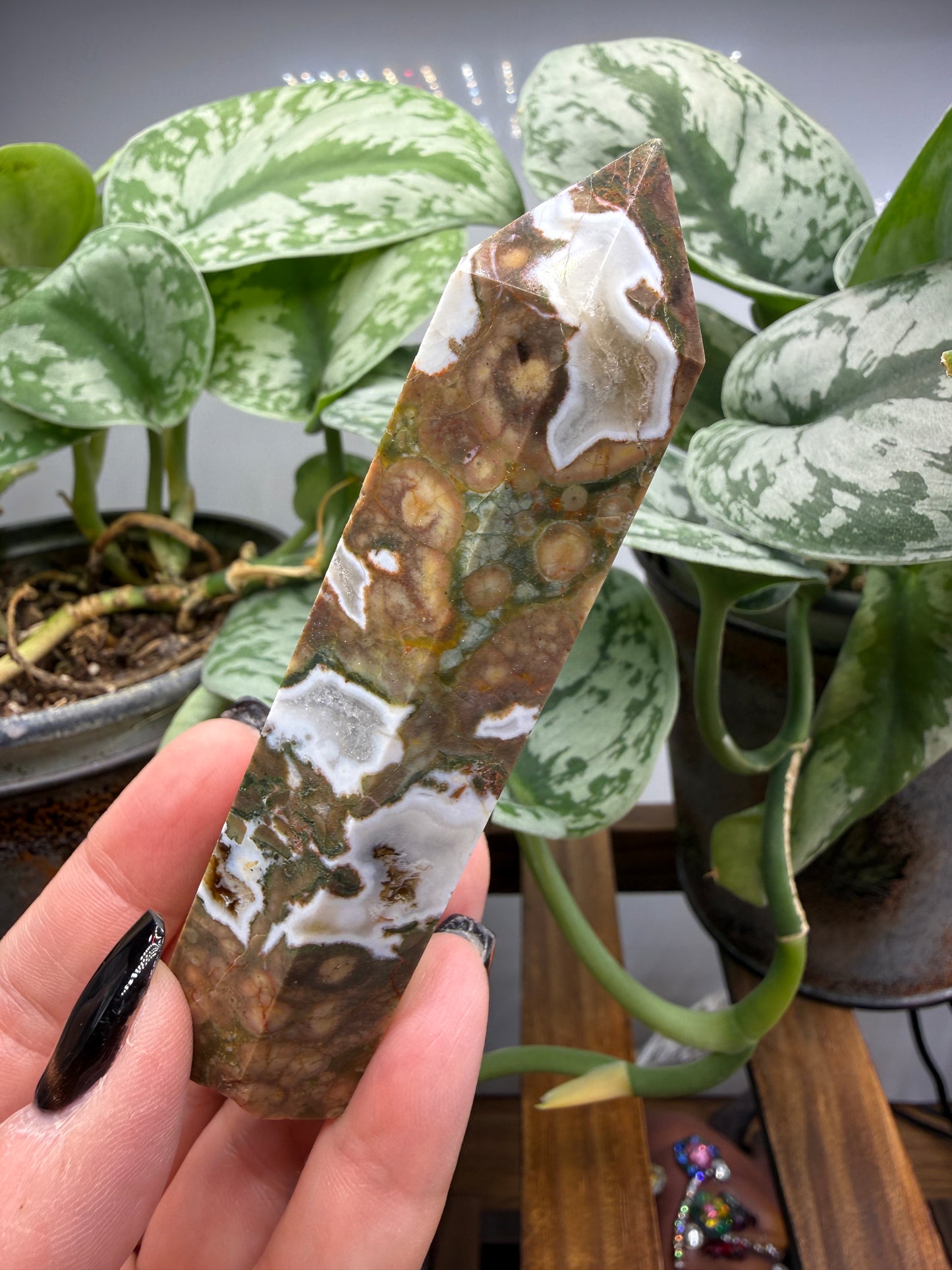 Ocean Jasper® Tower- Analalava District, Sofia Region, Madagascar