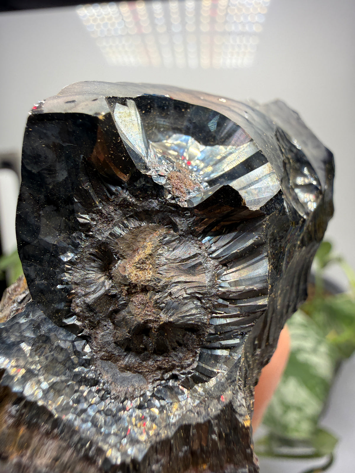 Goethite- Michigan, USA