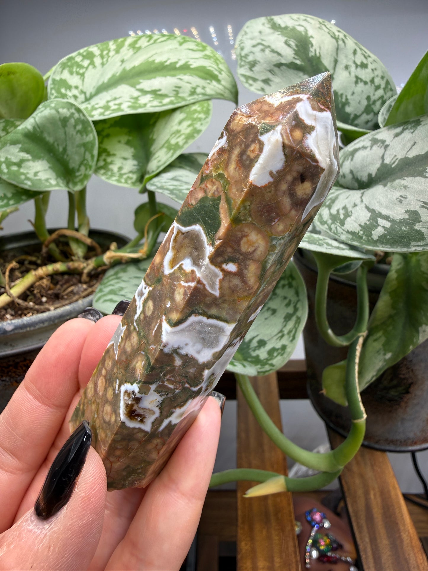 Ocean Jasper® Tower- Analalava District, Sofia Region, Madagascar