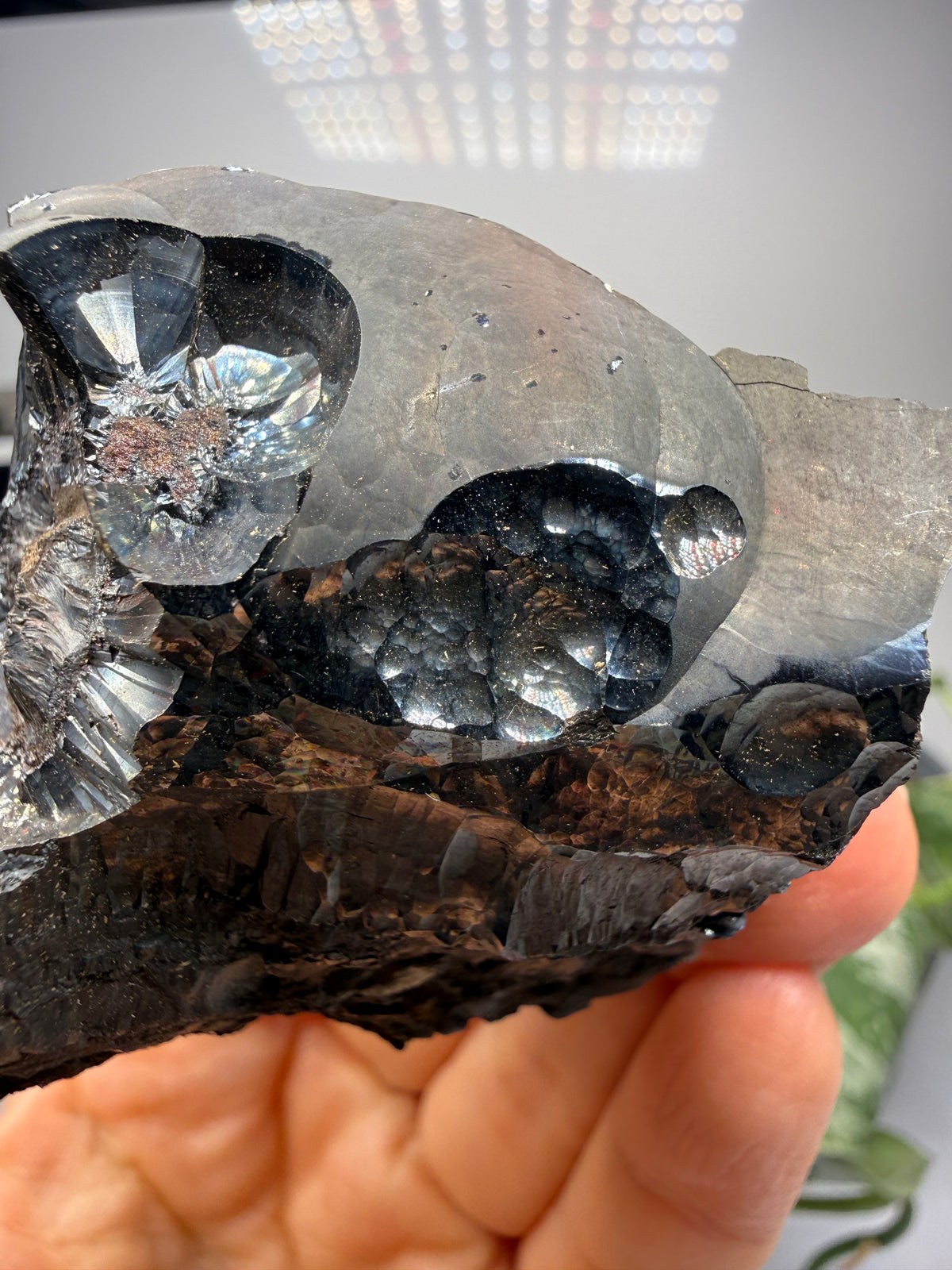 Goethite- Michigan, USA
