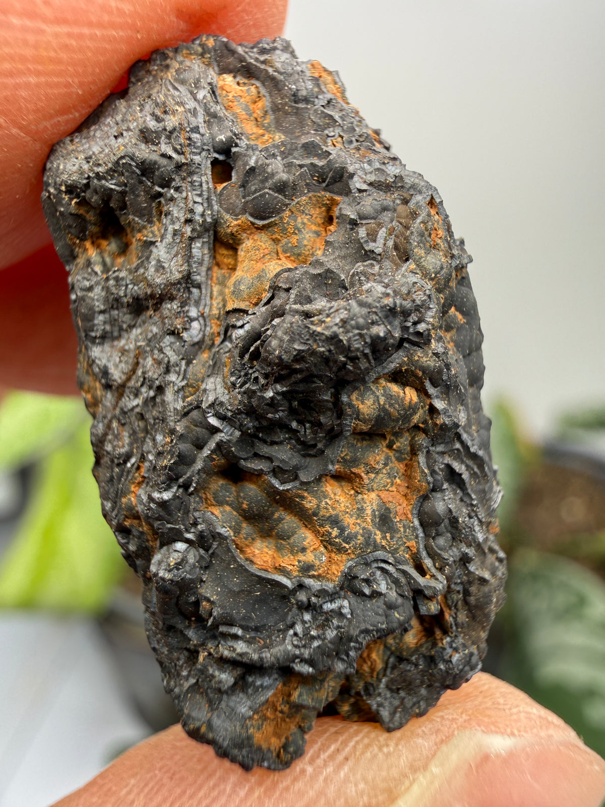 Psilomelane (Botryoidal Manganese Oxides)- Locality Unknown