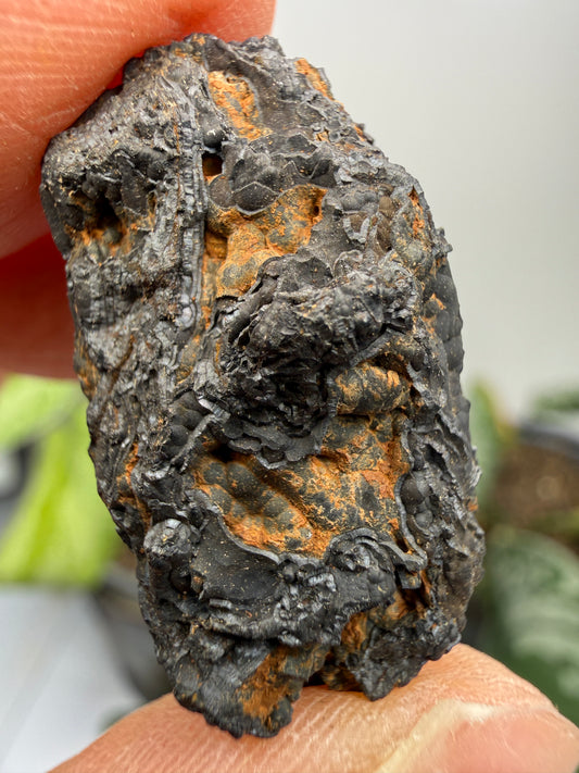Psilomelane (Botryoidal Manganese Oxides)- Locality Unknown